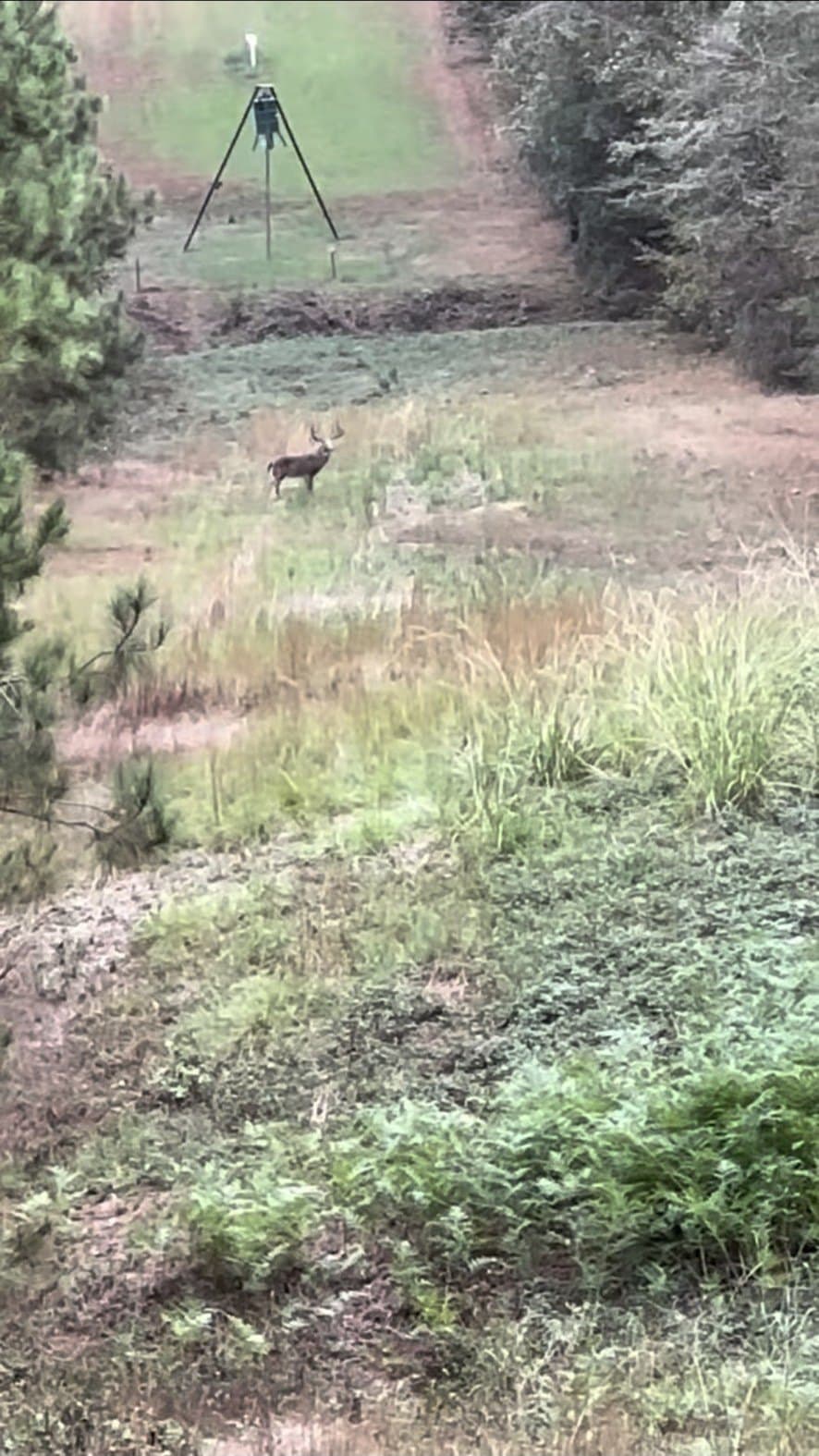 575 acres in Nacogdoches County - photo 24