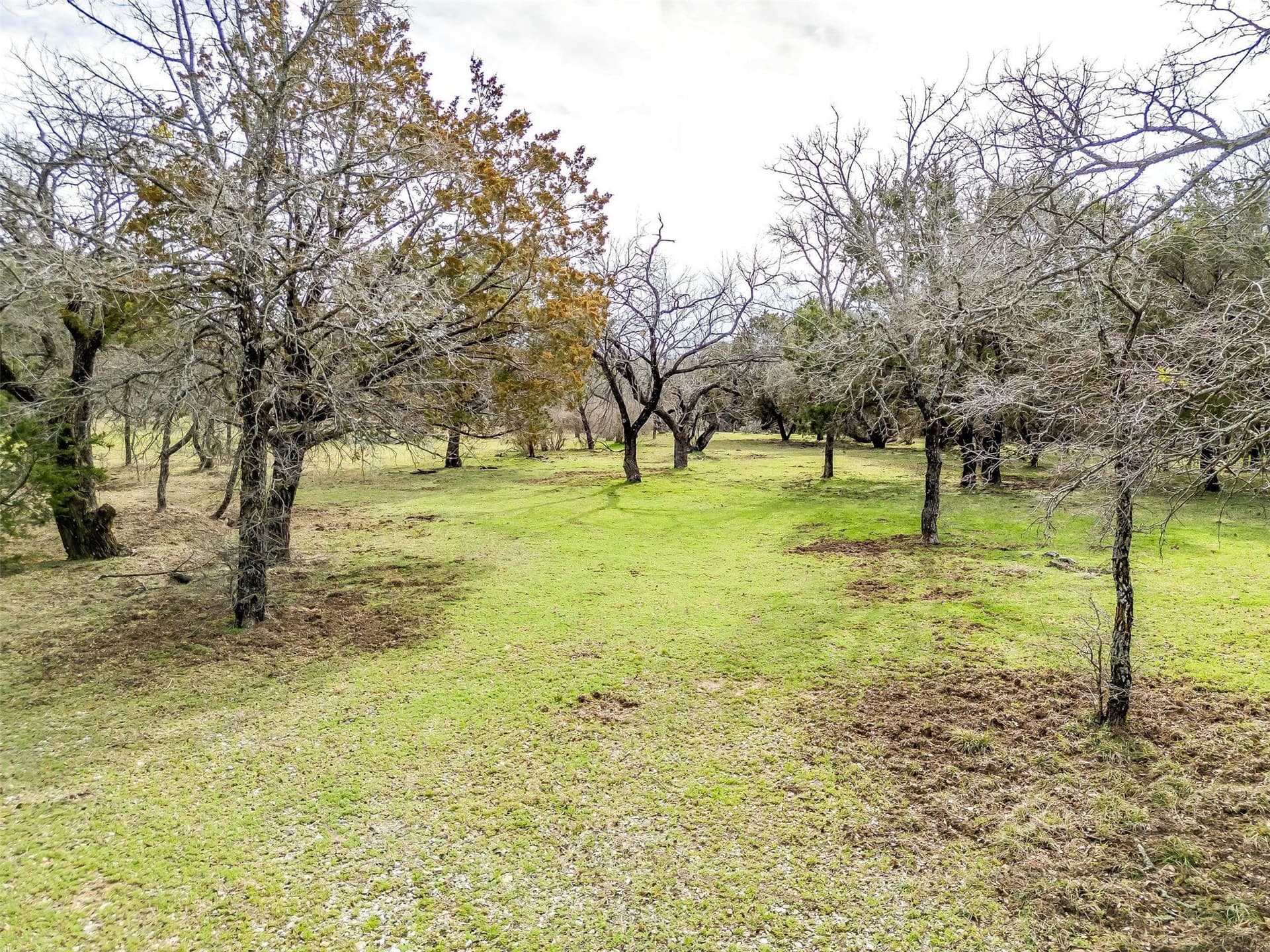 5.13 acres in Palo Pinto County - photo 18