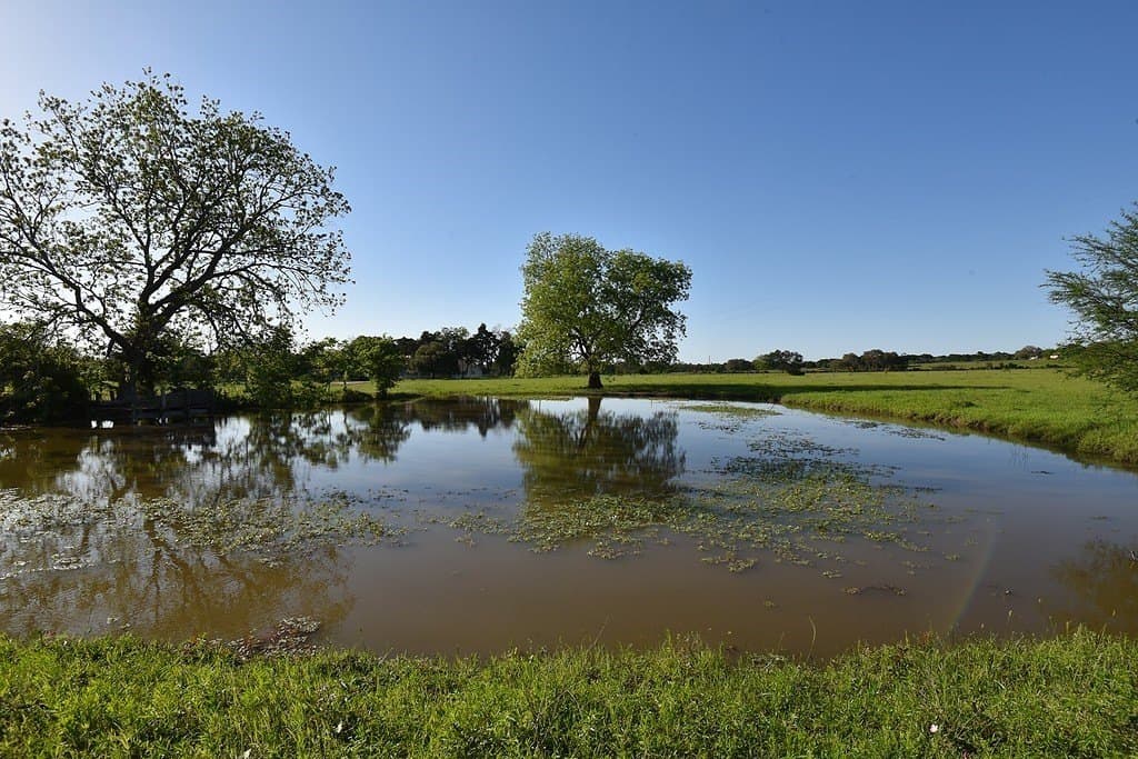 53.56 acres in Fayette County gallery image 4