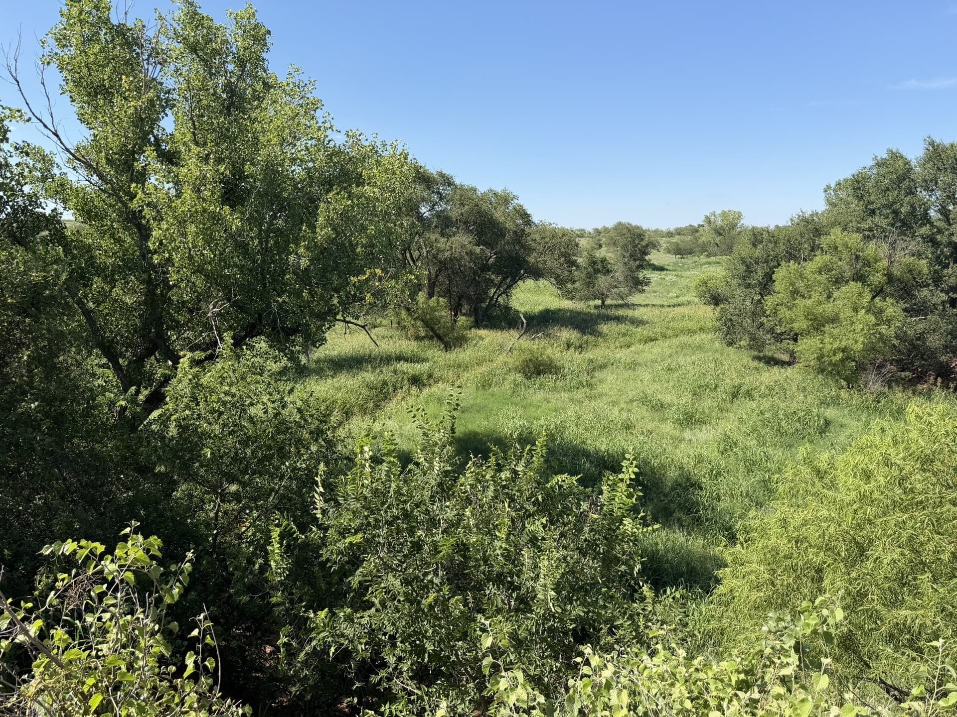 140 acres in Collingsworth County - photo 22