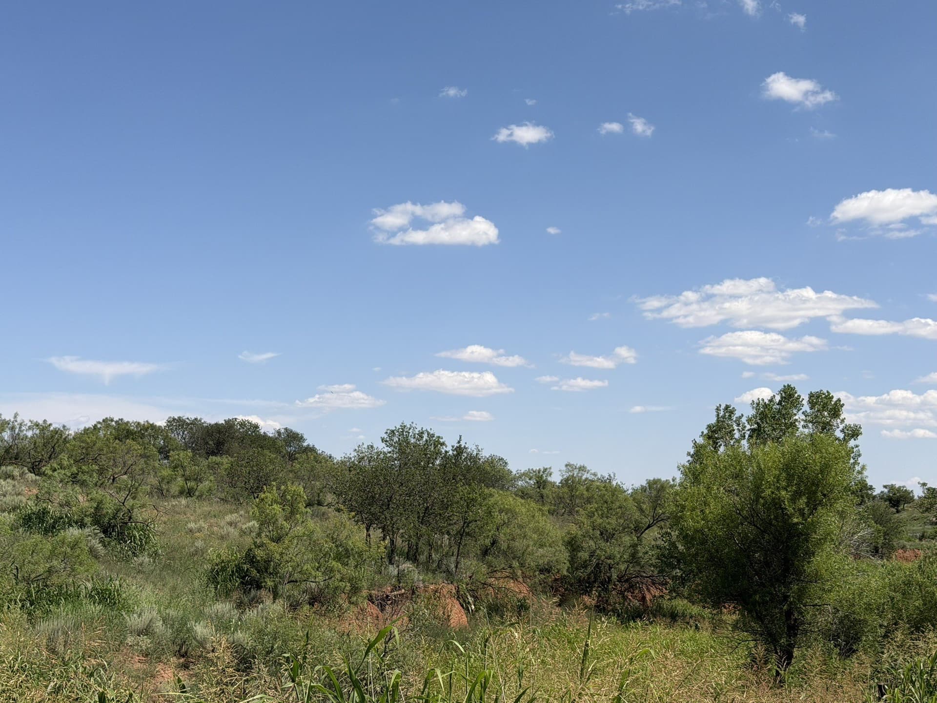140 acres in Collingsworth County - photo 10