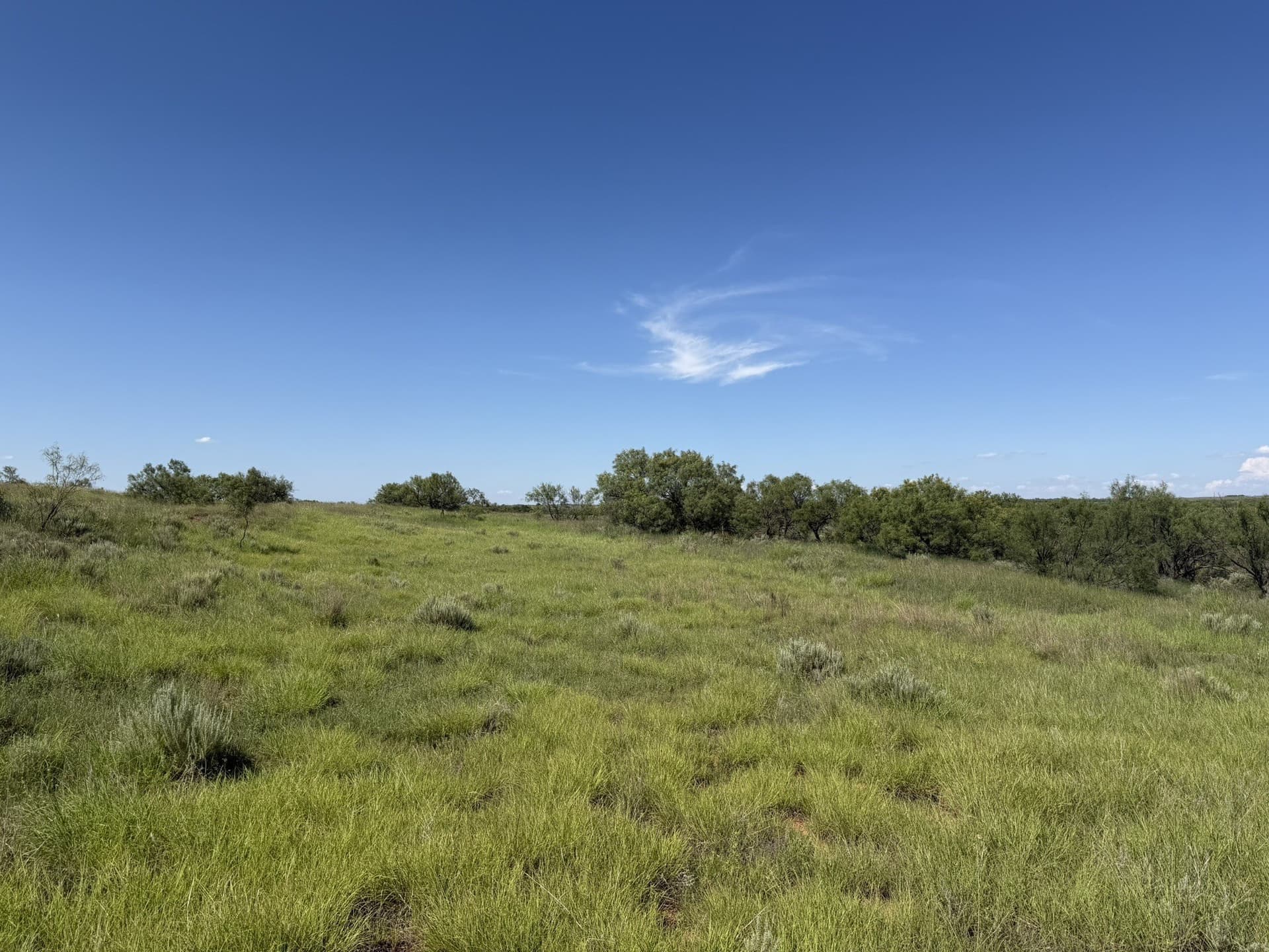 140 acres in Collingsworth County - photo 17