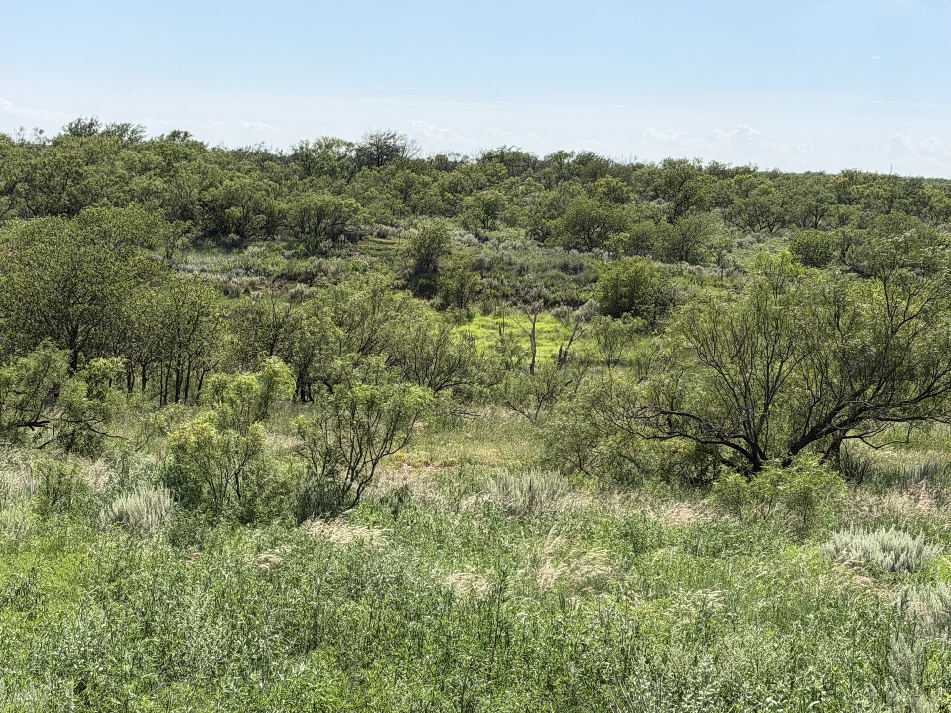 140 acres in Collingsworth County - photo 13