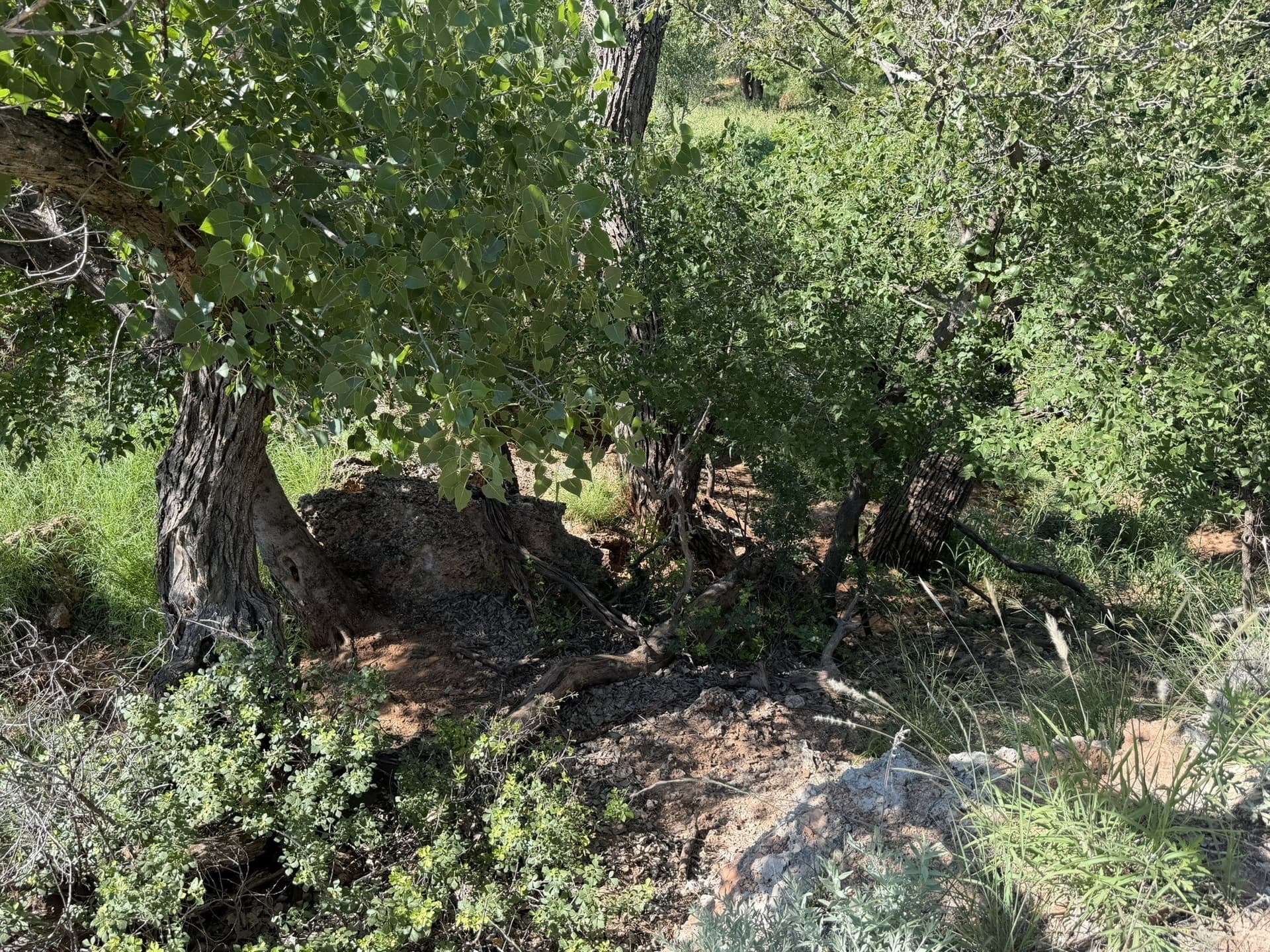 140 acres in Collingsworth County - photo 23