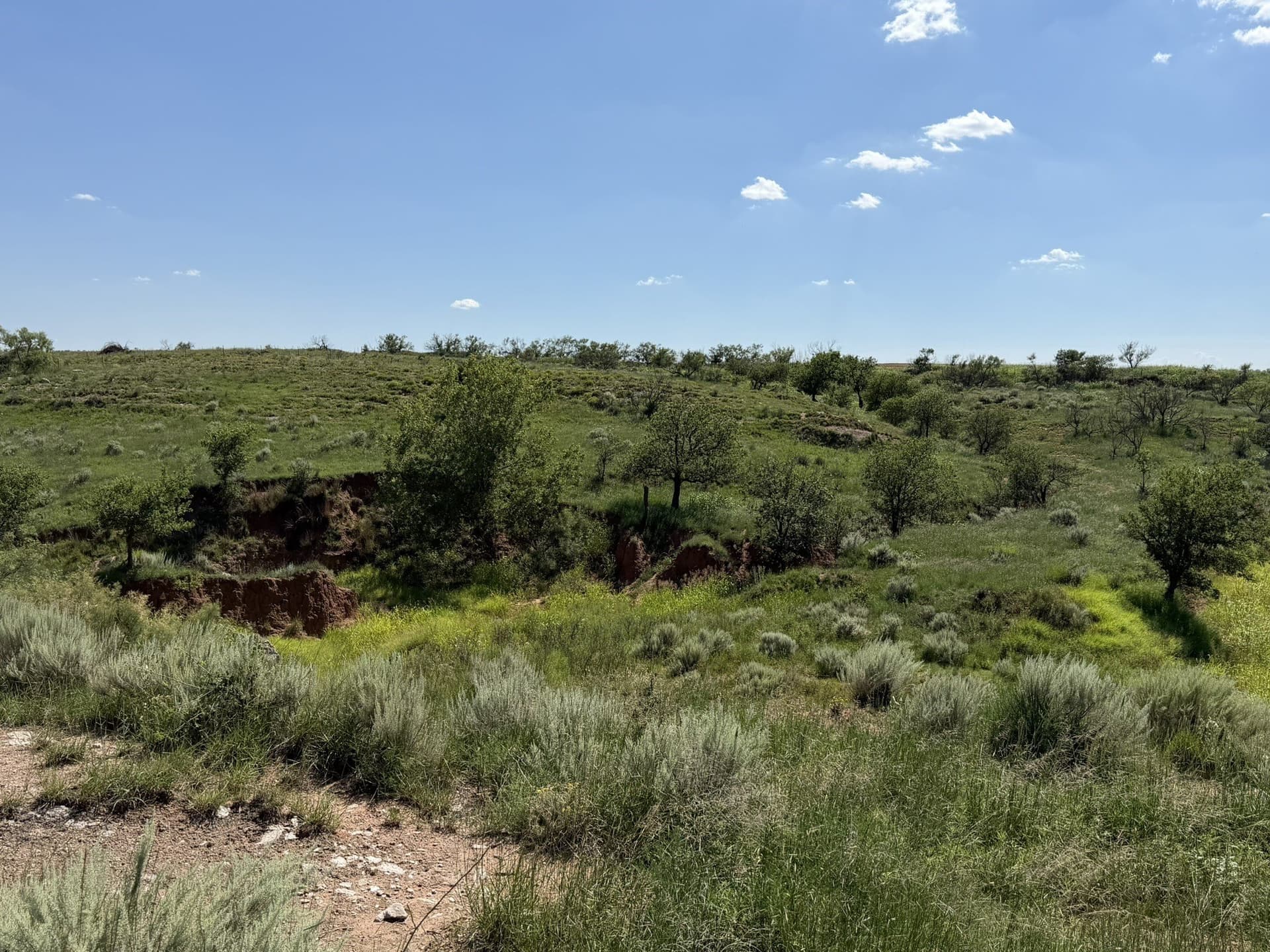 140 acres in Collingsworth County - photo 15