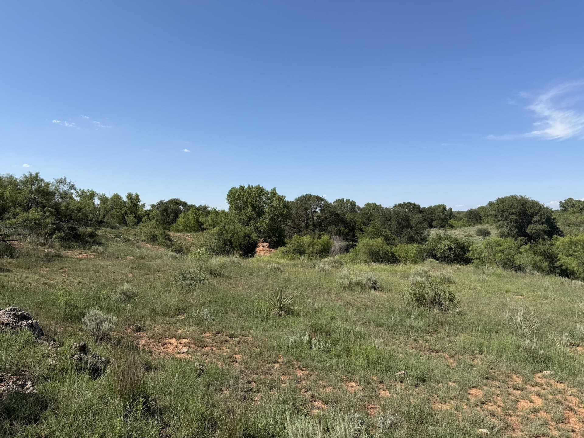 140 acres in Collingsworth County - photo 20