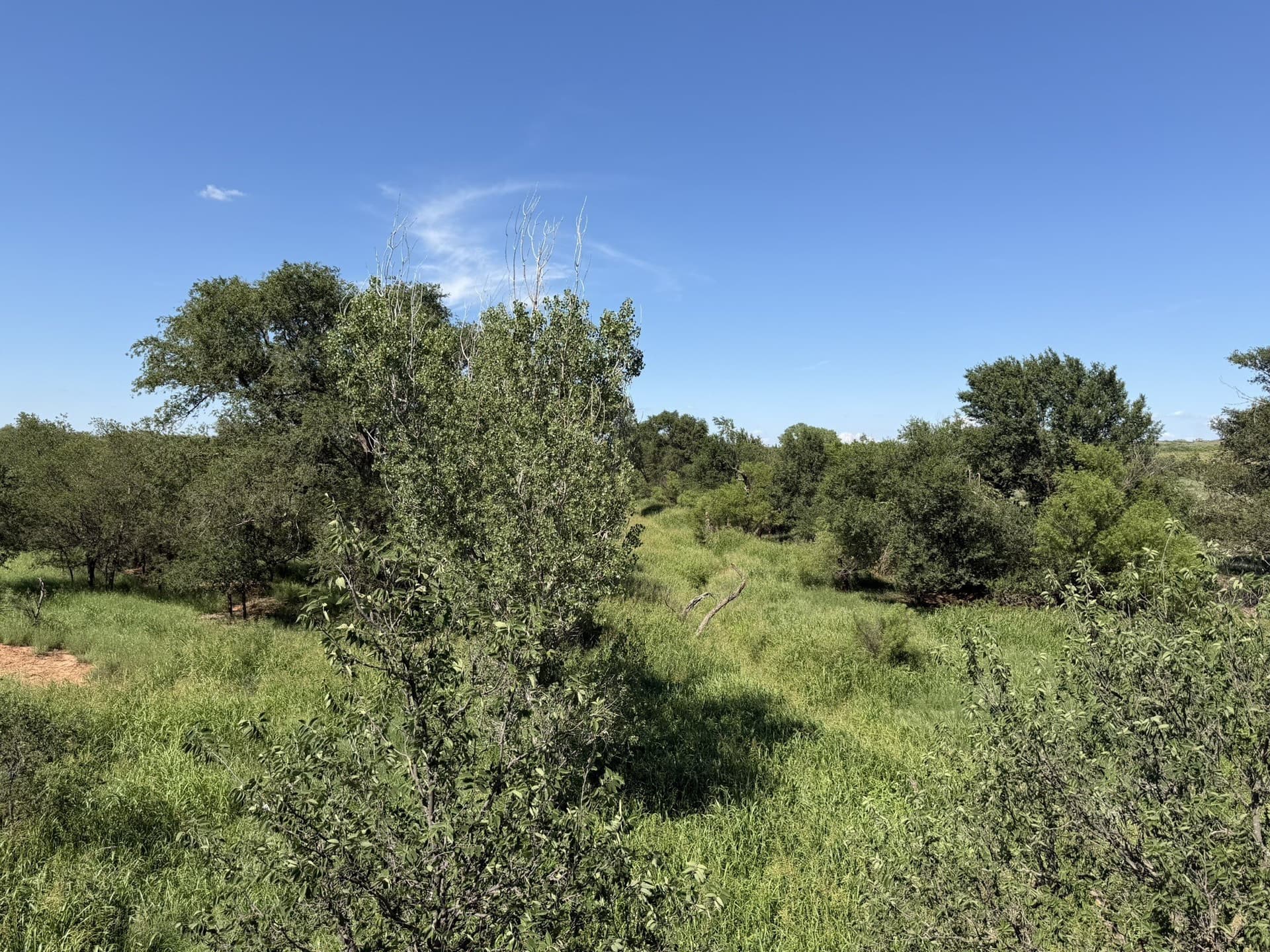 140 acres in Collingsworth County - photo 24