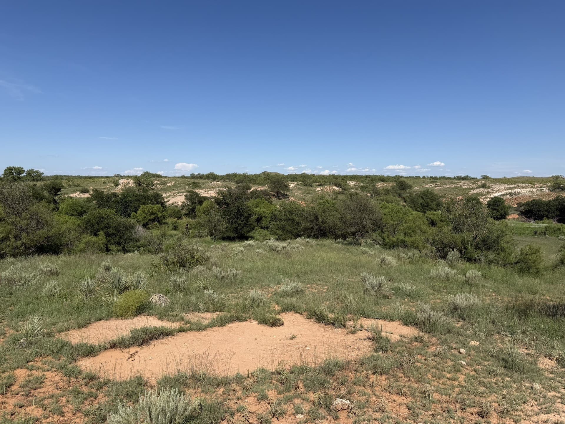 140 acres in Collingsworth County - photo 19