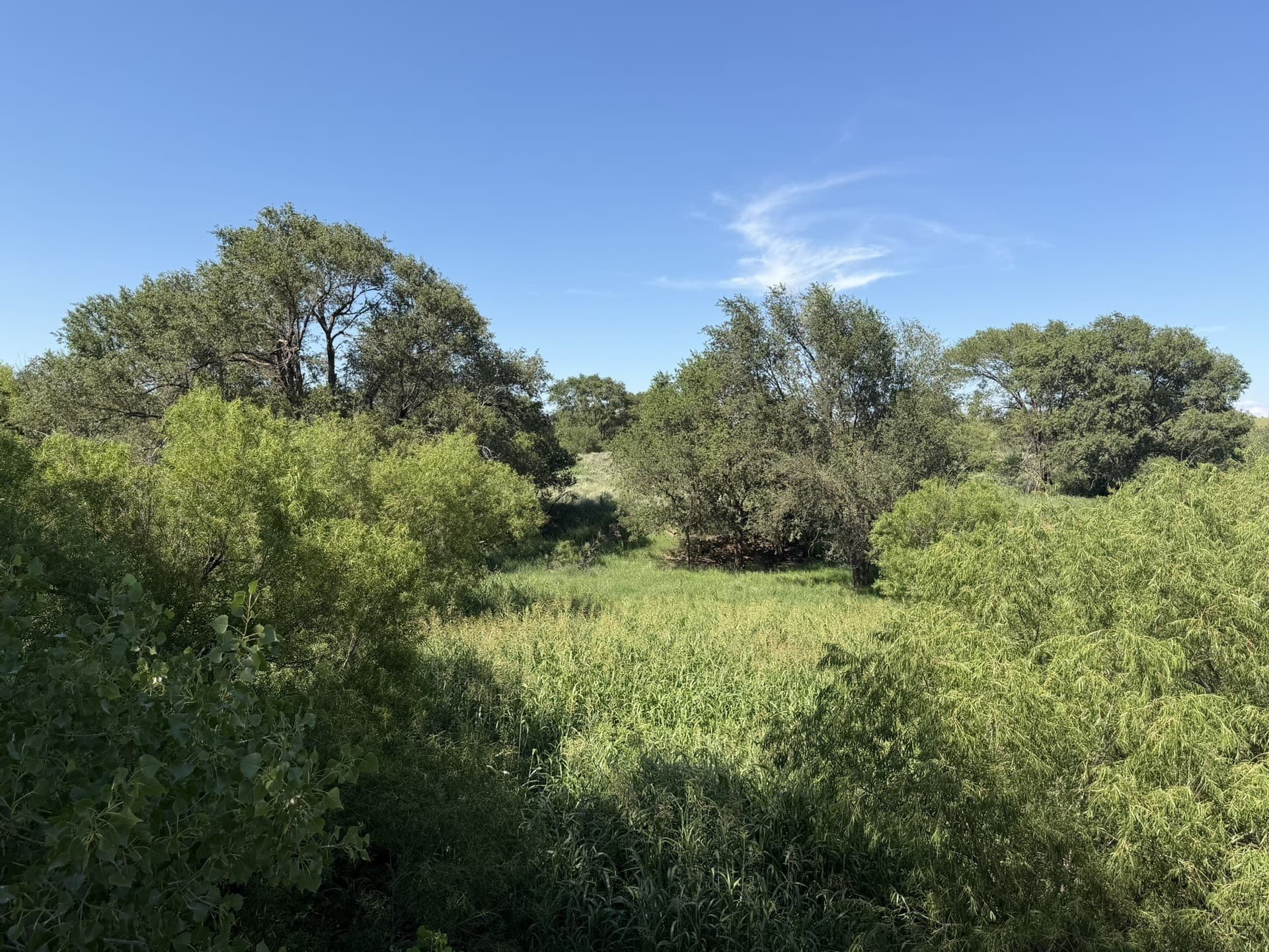 140 acres in Collingsworth County - photo 21