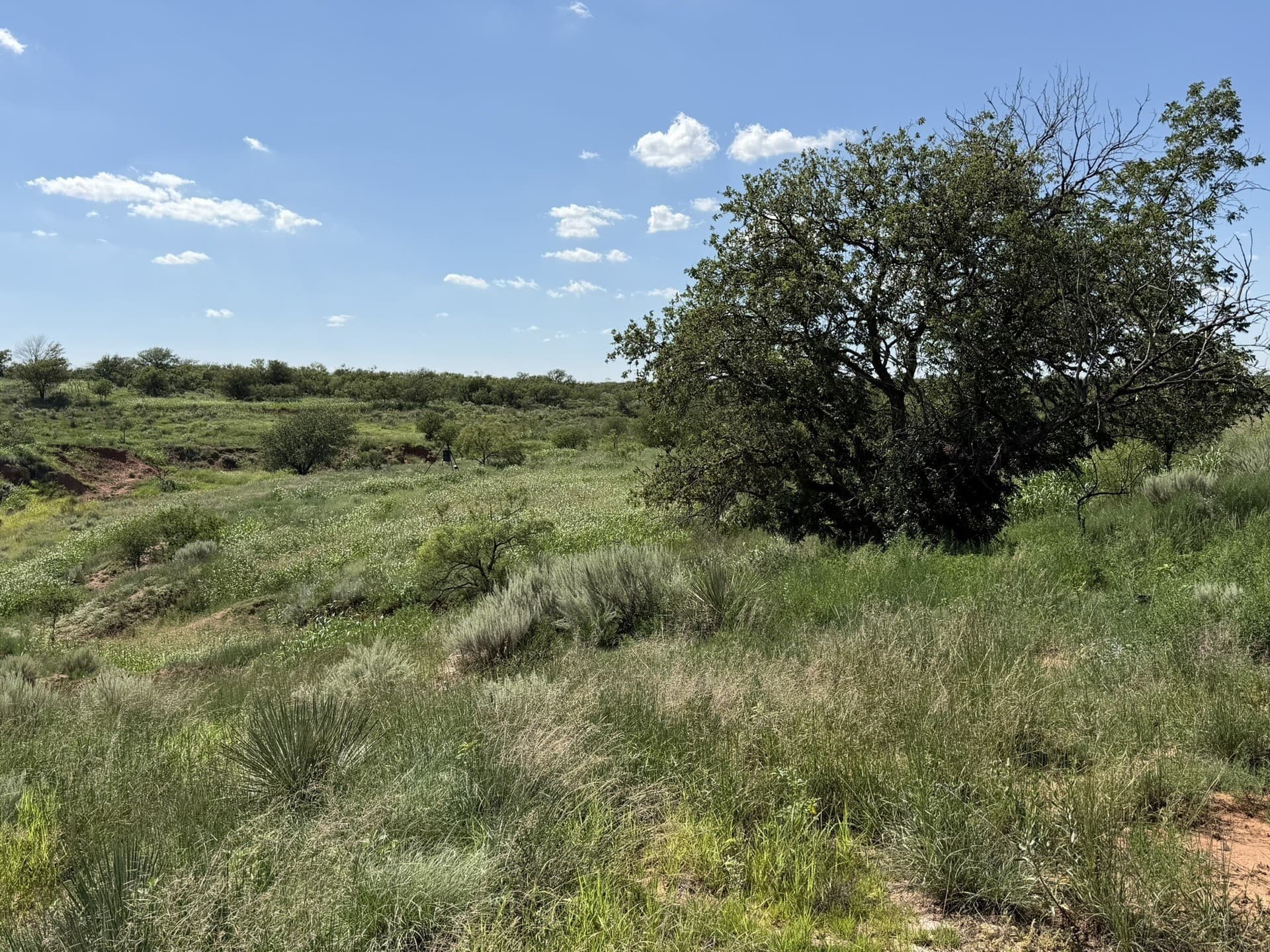 140 acres in Collingsworth County - photo 14