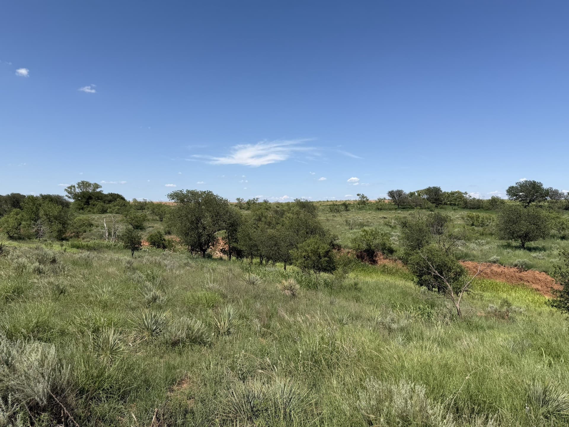 140 acres in Collingsworth County - photo 11