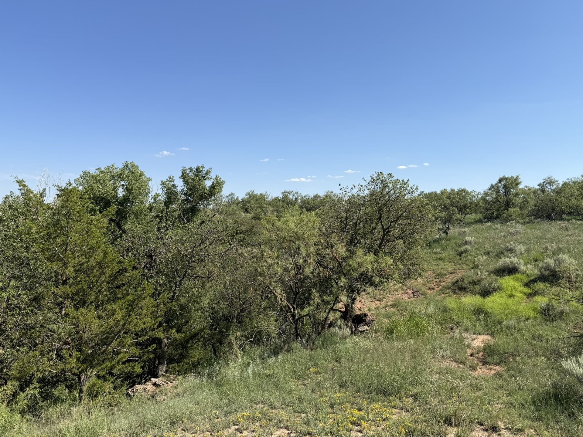 140 acres in Collingsworth County - photo 25