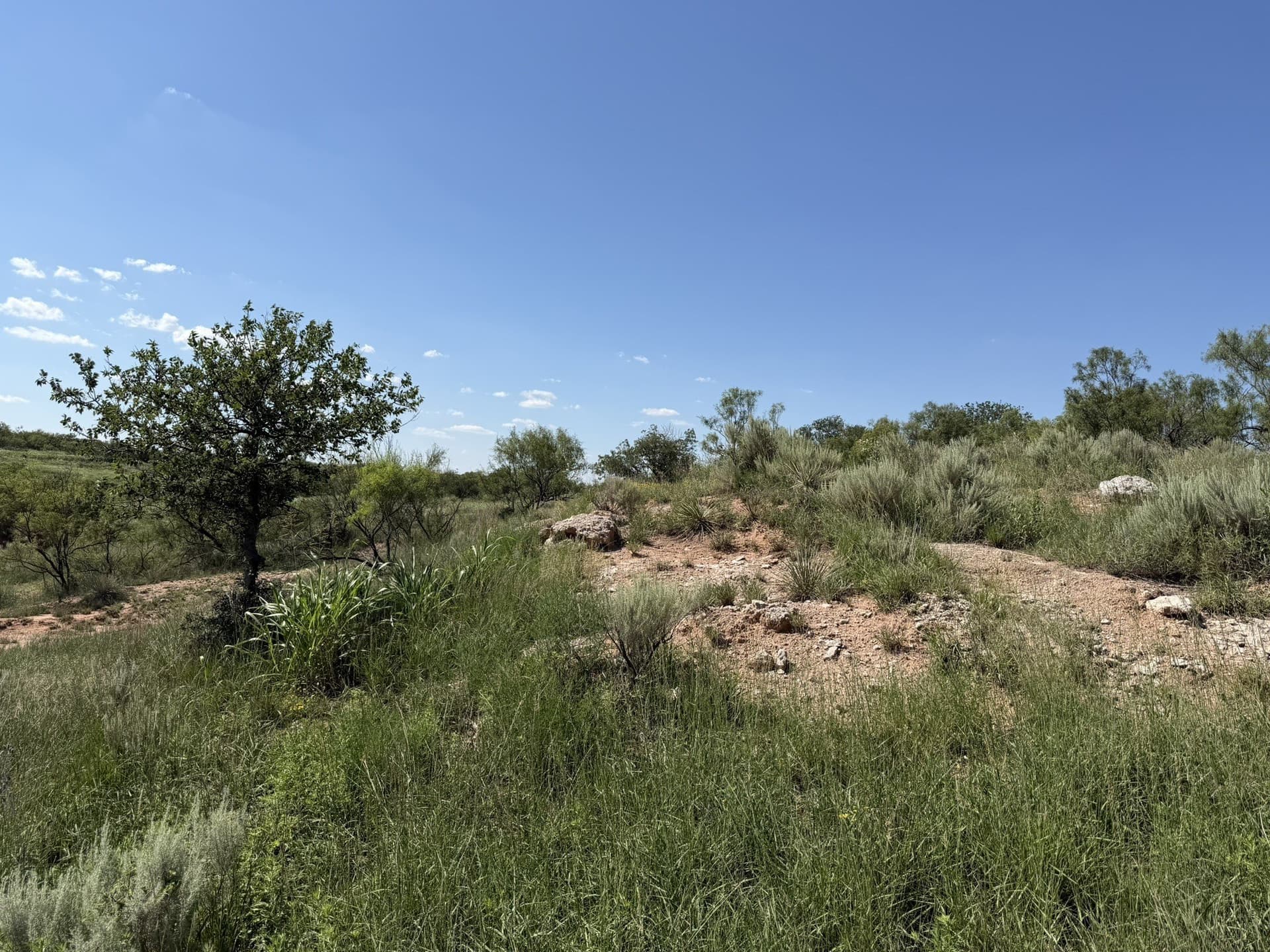140 acres in Collingsworth County - photo 16