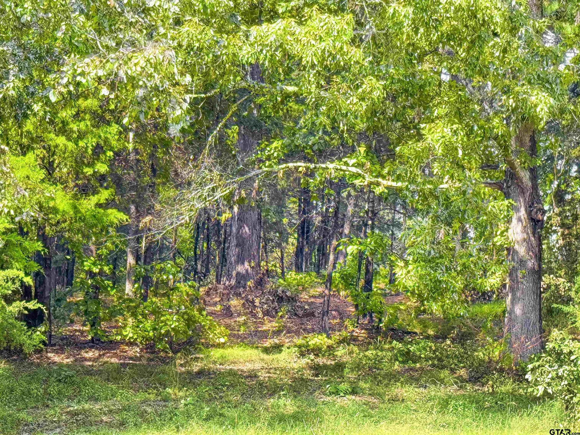 4.89 acres in Smith County gallery image 3