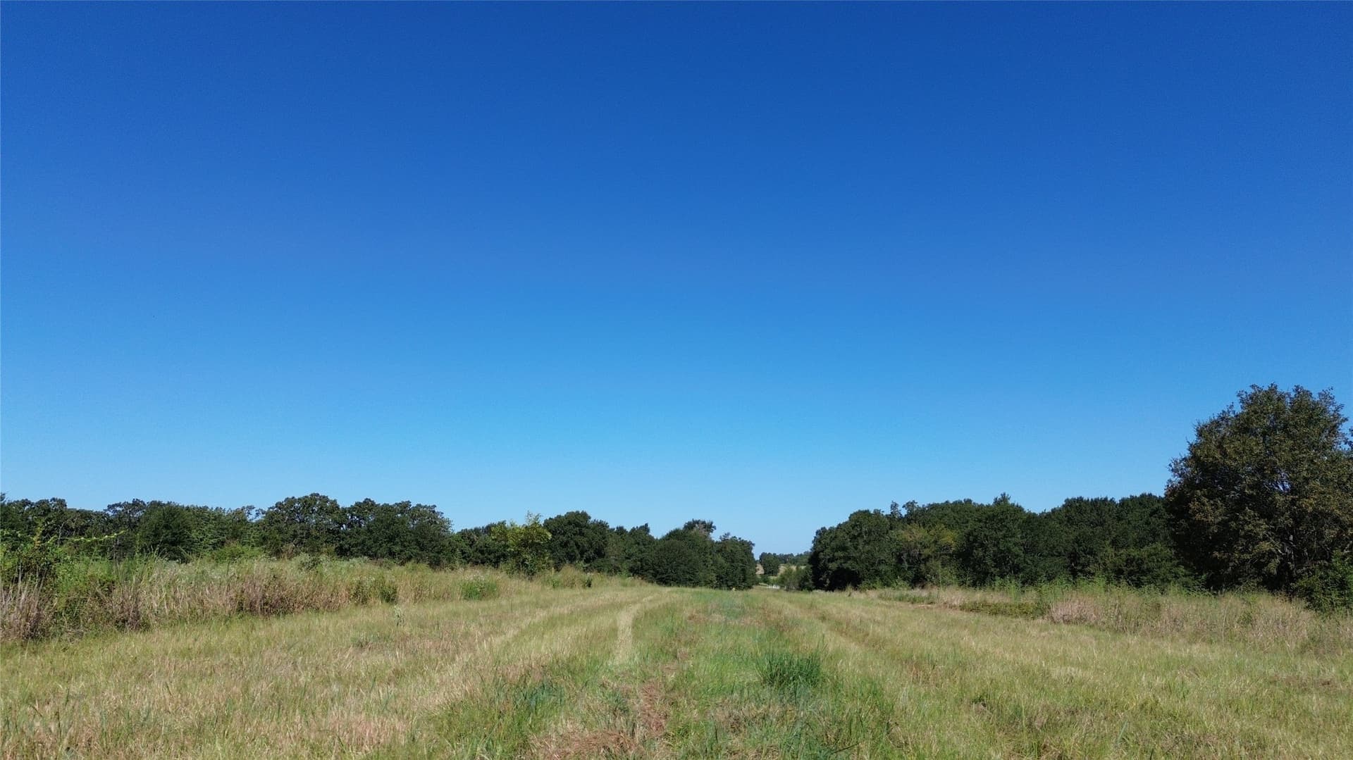 89.96 acres in Freestone County - photo 29