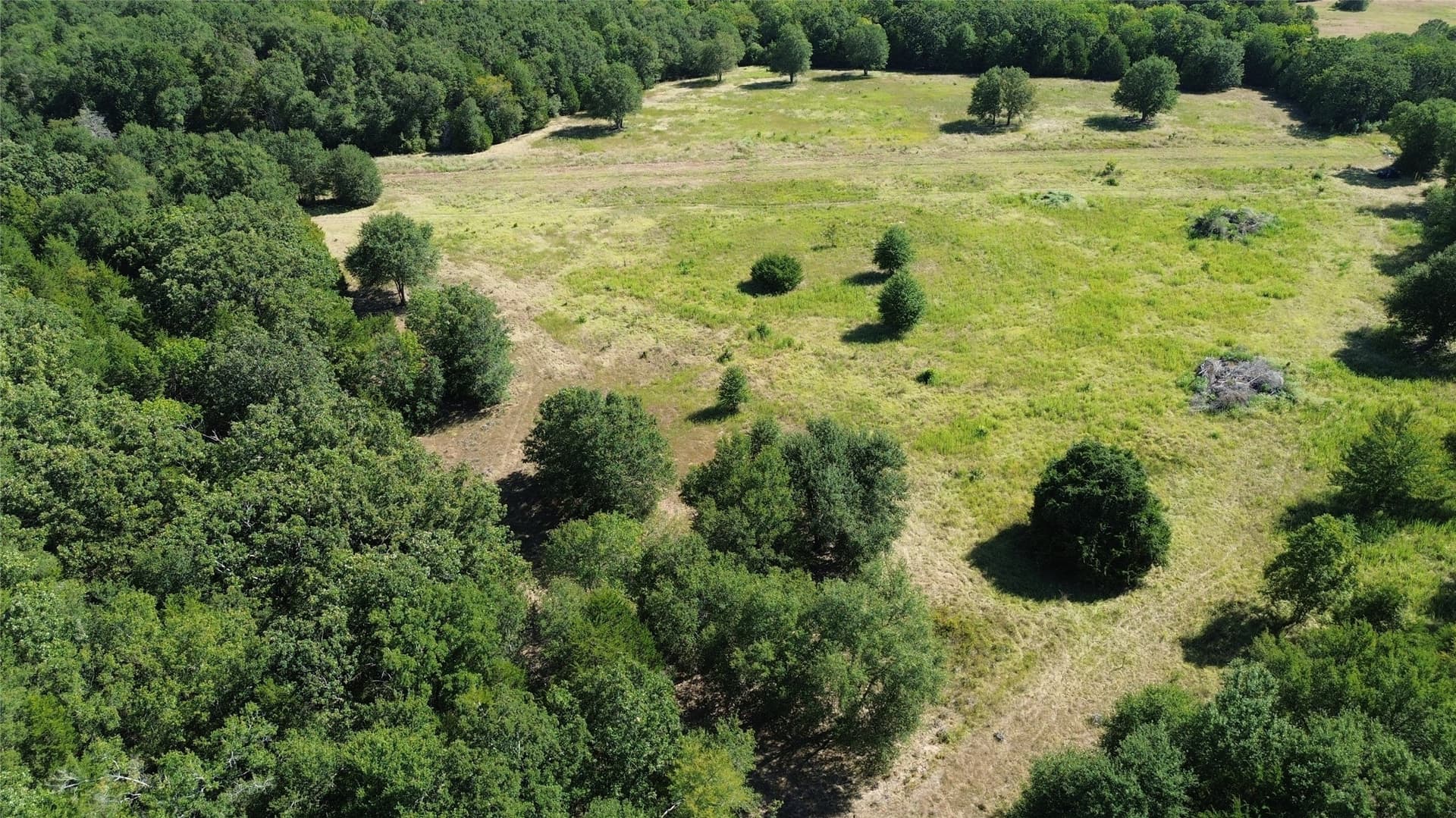 89.96 acres in Freestone County - photo 8