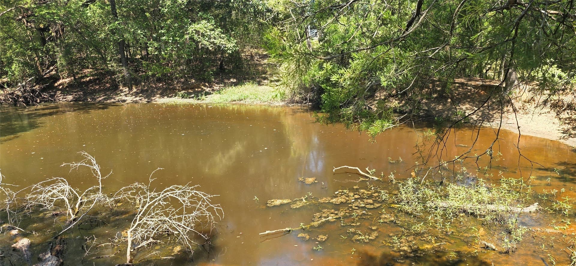 89.96 acres in Freestone County - photo 25