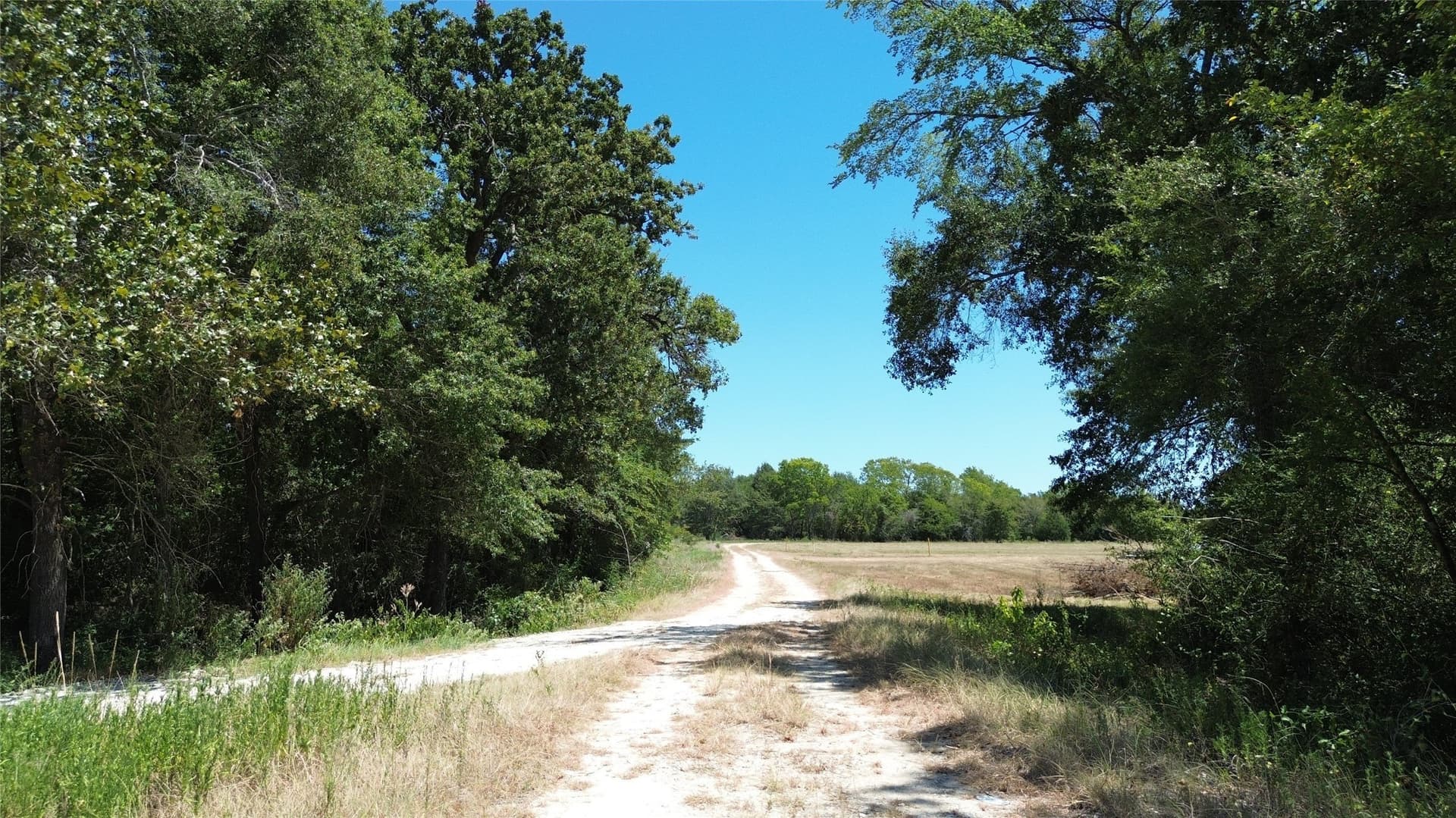 89.96 acres in Freestone County - photo 26