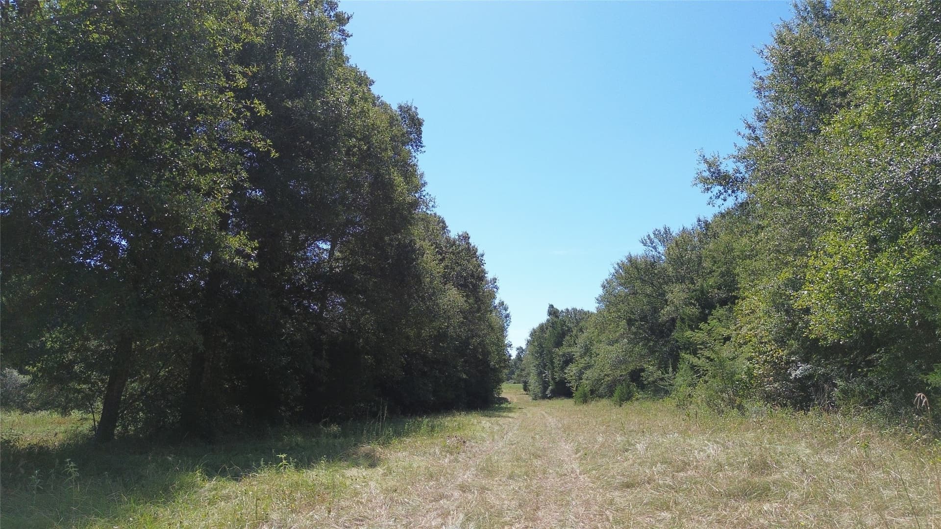 89.96 acres in Freestone County - photo 21
