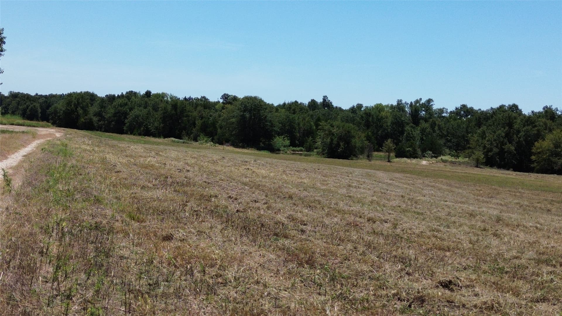 89.96 acres in Freestone County - photo 27