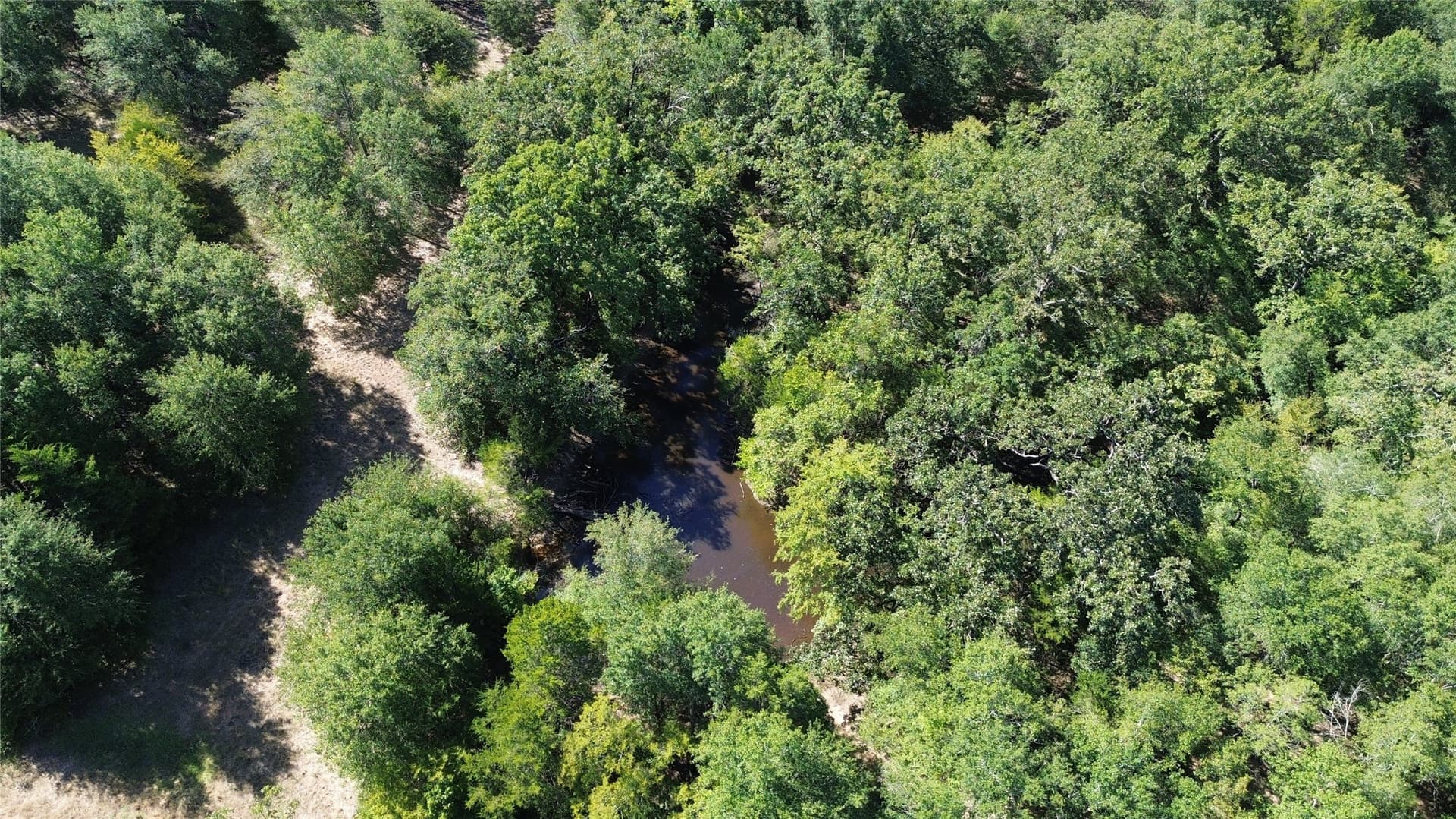 89.96 acres in Freestone County - photo 7