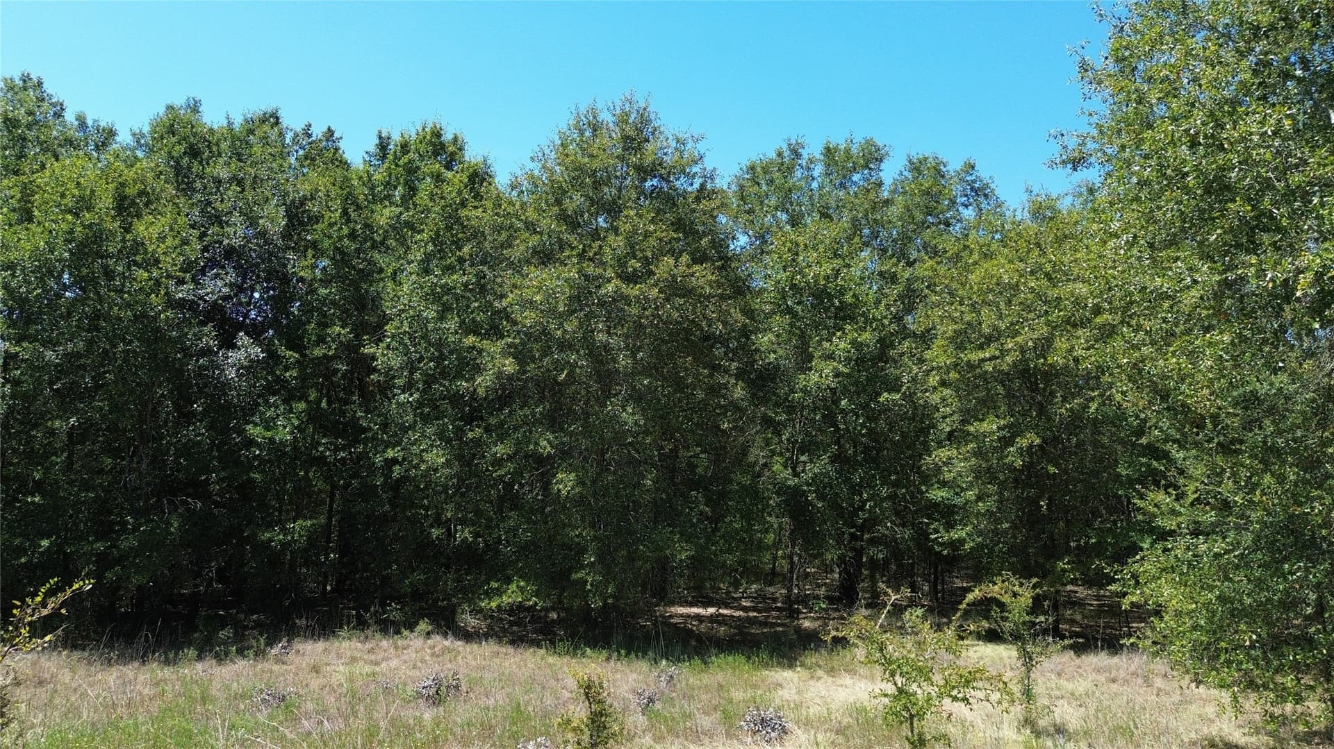 89.96 acres in Freestone County - photo 28