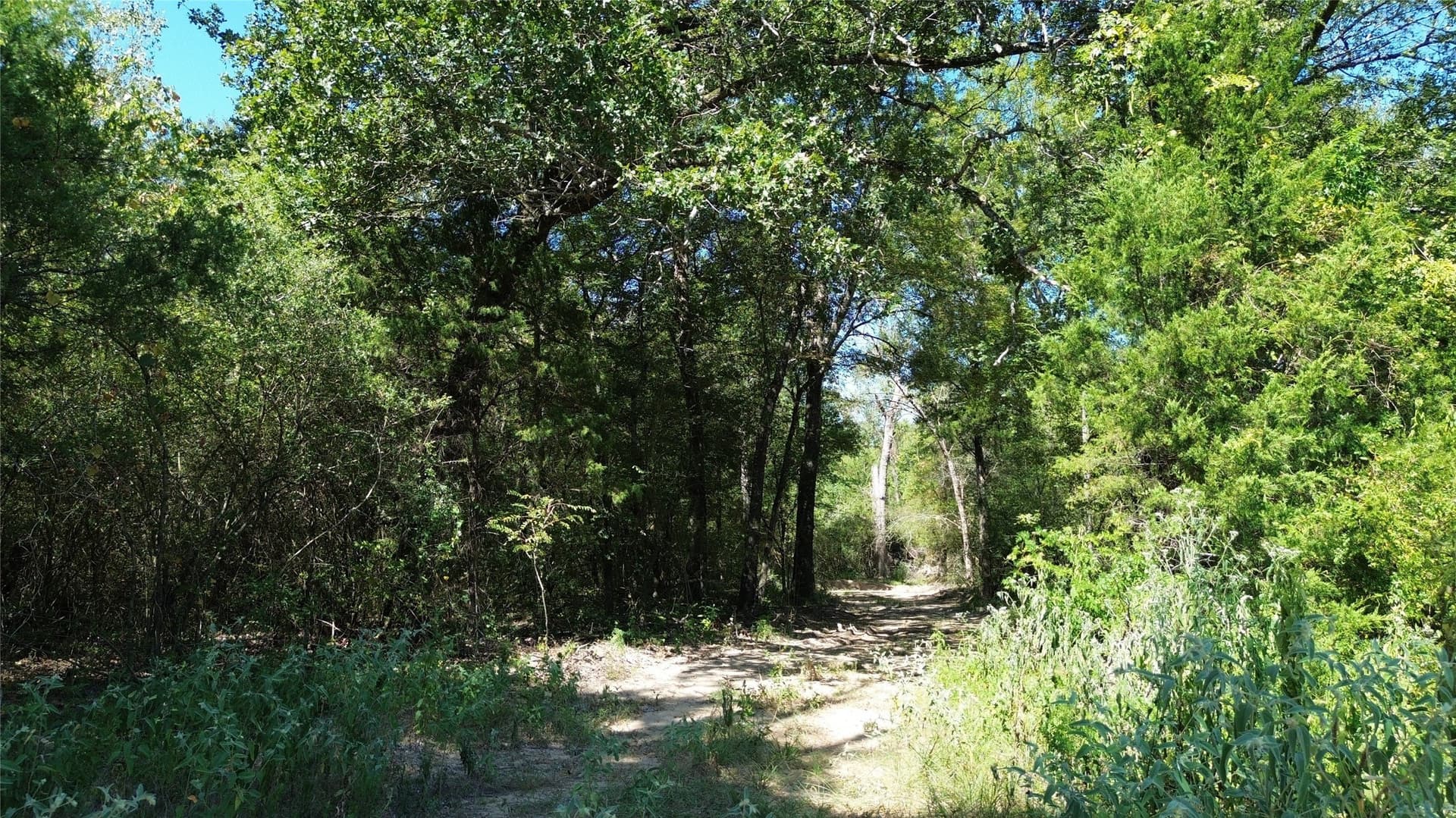 89.96 acres in Freestone County - photo 20