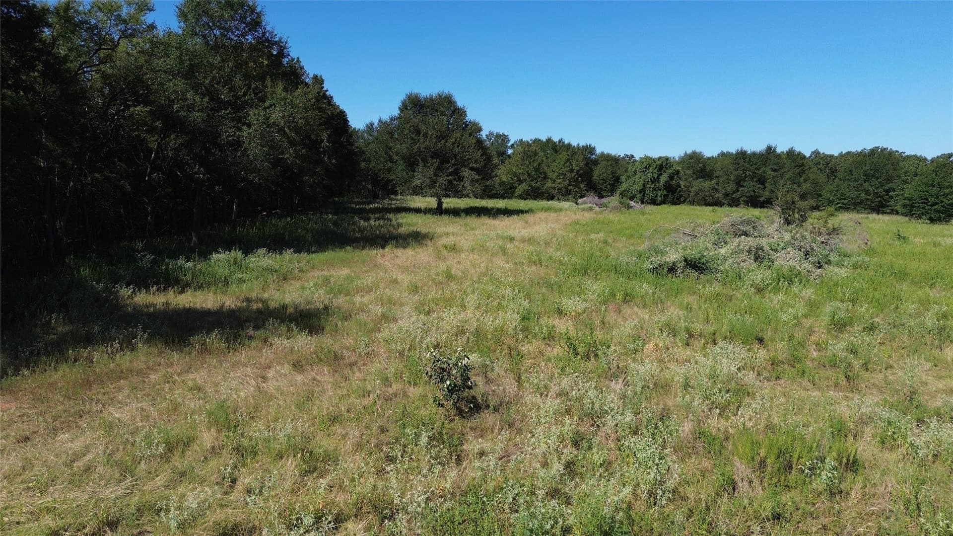 89.96 acres in Freestone County - photo 10