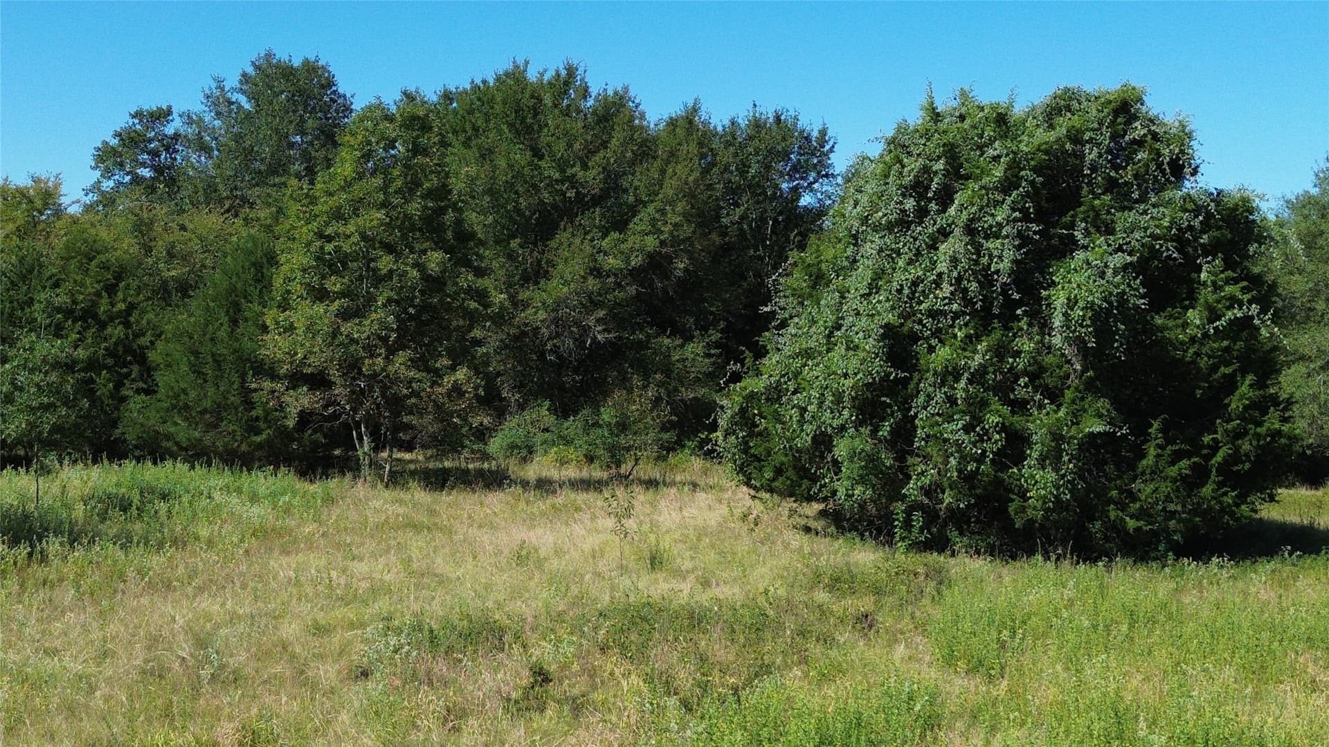 89.96 acres in Freestone County - photo 18