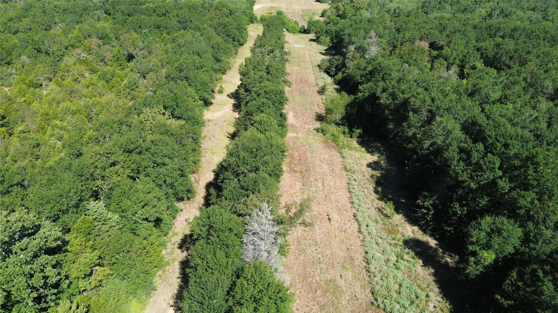 89.96 acres in Freestone County - photo 9