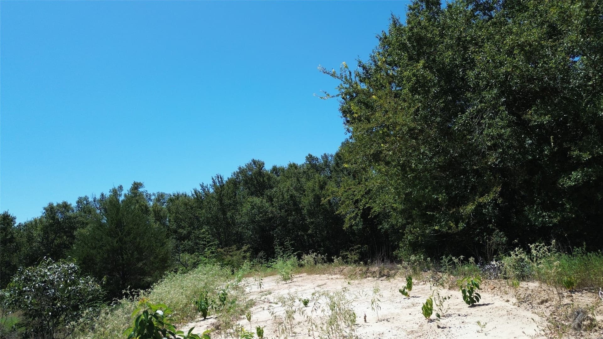 89.96 acres in Freestone County - photo 30