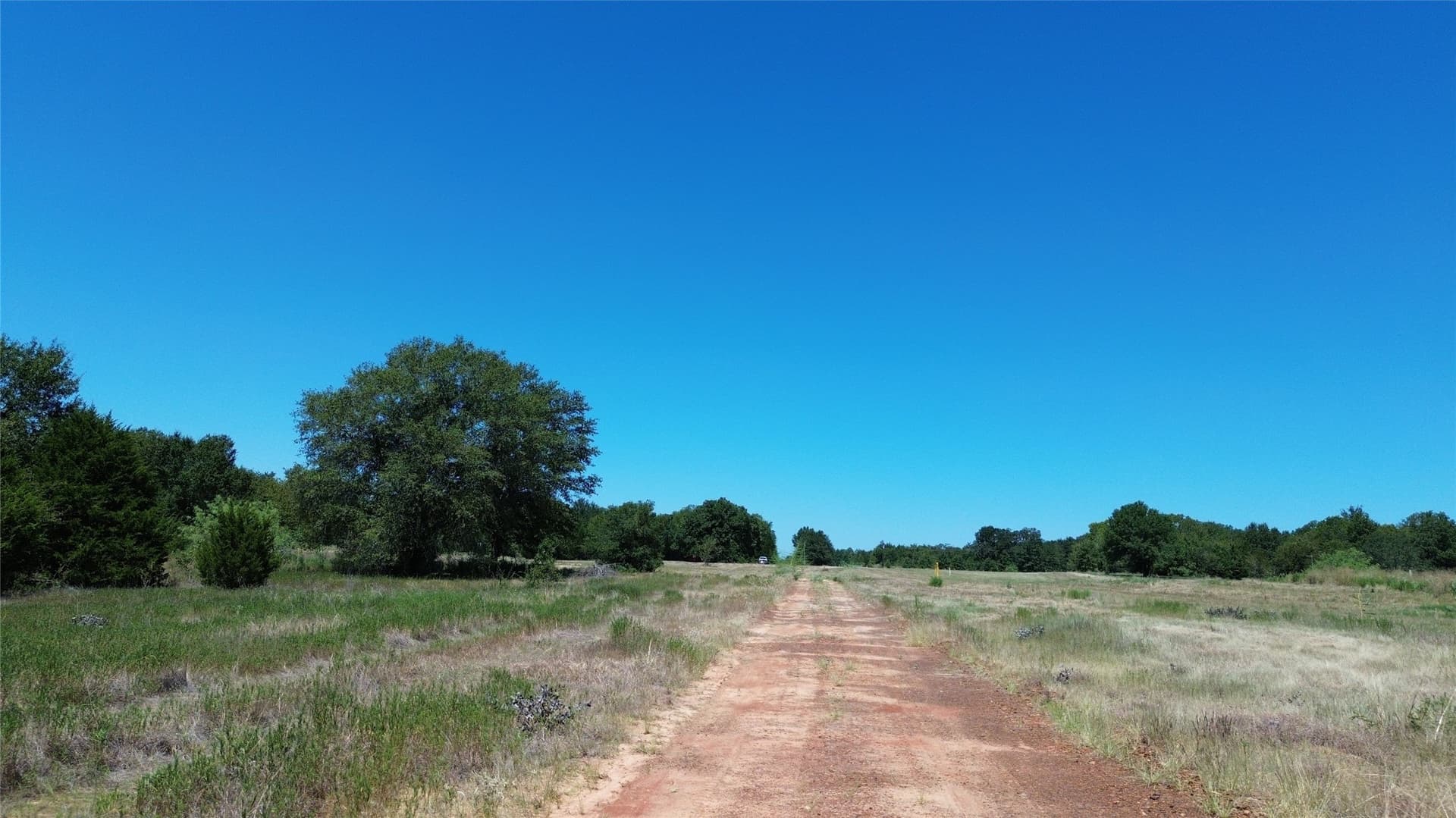 89.96 acres in Freestone County - photo 19