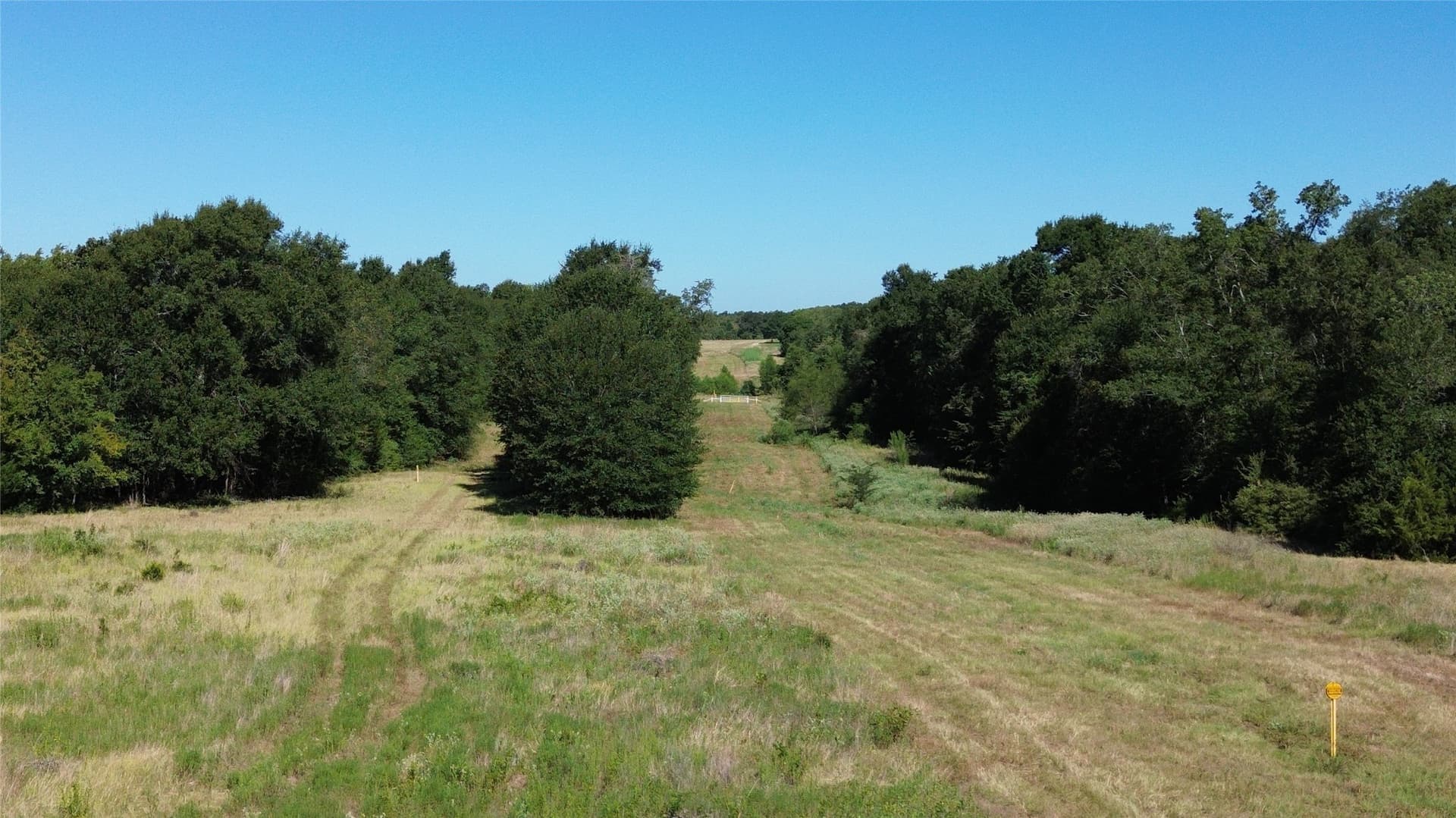 89.96 acres in Freestone County - photo 17