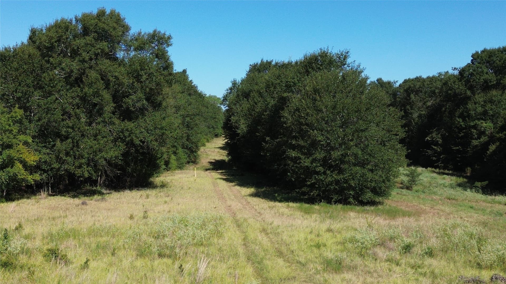 89.96 acres in Freestone County - photo 11