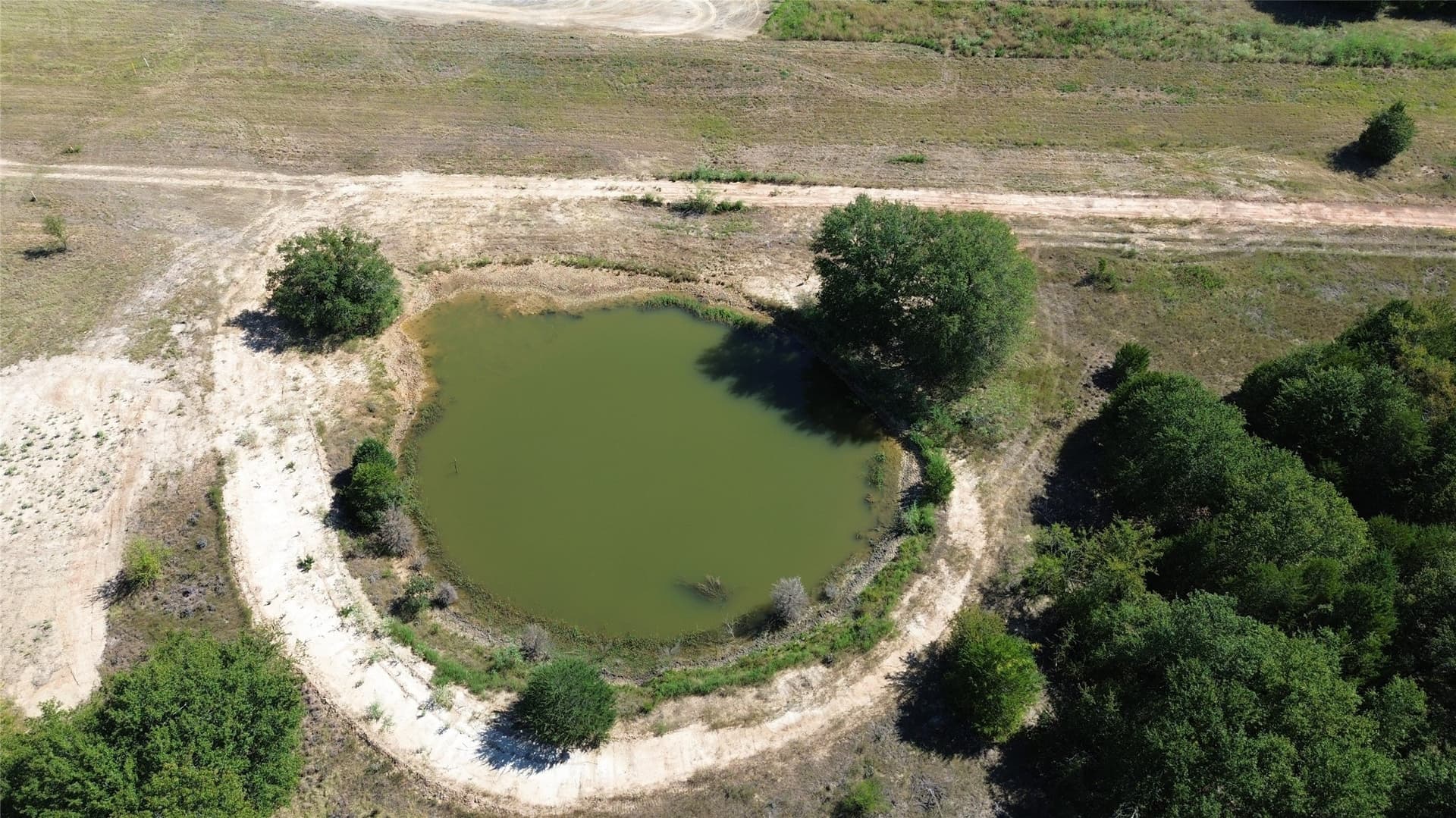 89.96 acres in Freestone County - photo 6