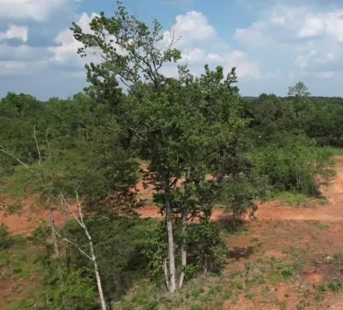 14.43 acres in Texas County featured view