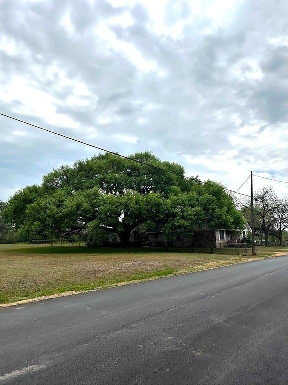 2 acres in Austin County gallery image 4