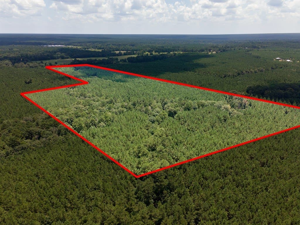 31.75 acres in Texas County - photo 9