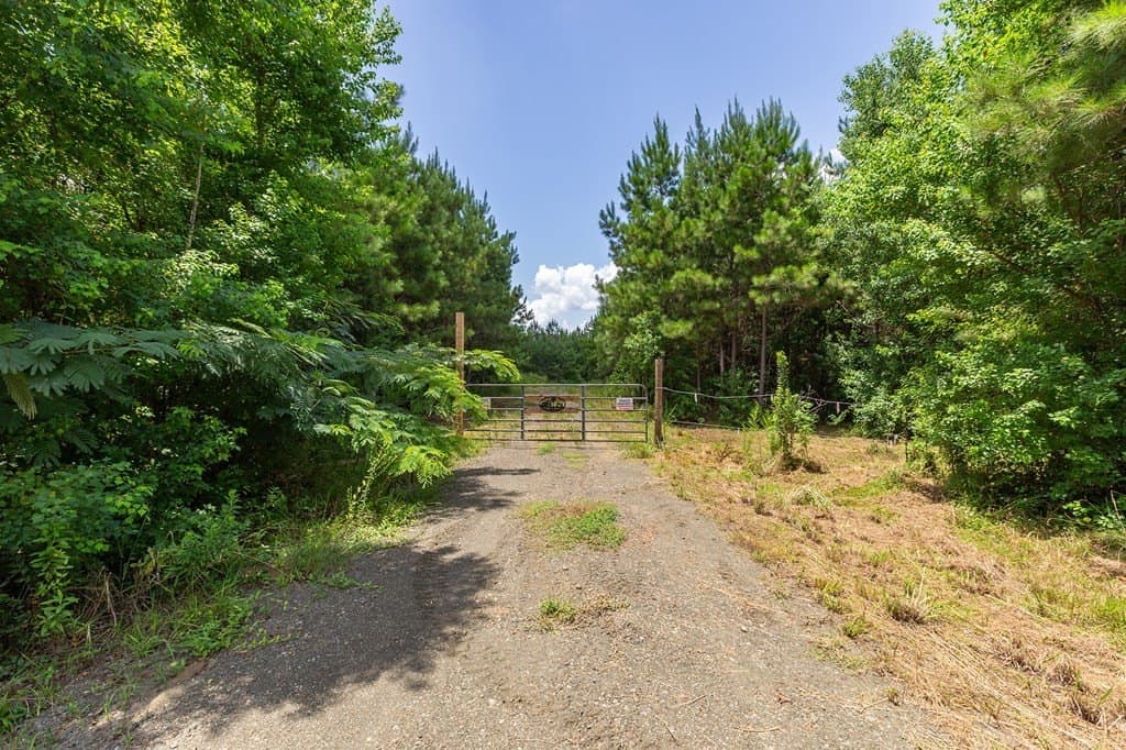 31.75 acres in Texas County - photo 11