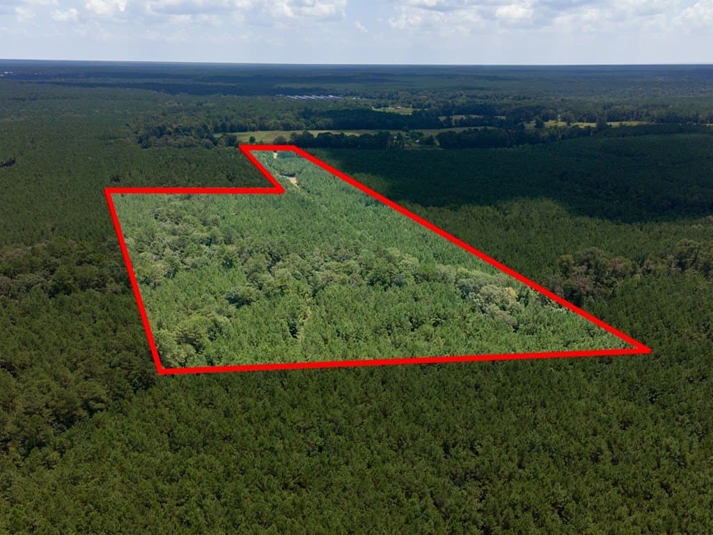 31.75 acres in Texas County - photo 16