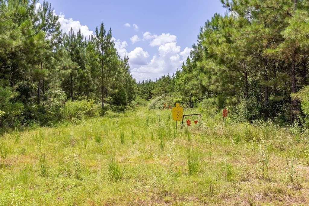 31.75 acres in Texas County - photo 19