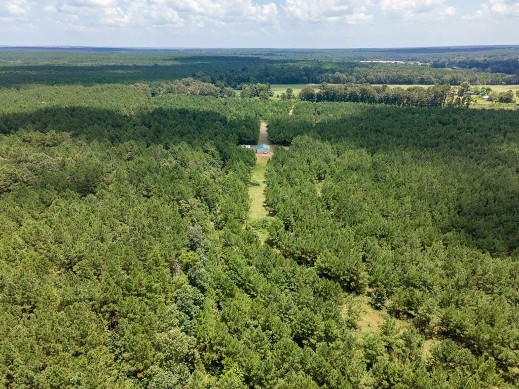 31.75 acres in Texas County - photo 24