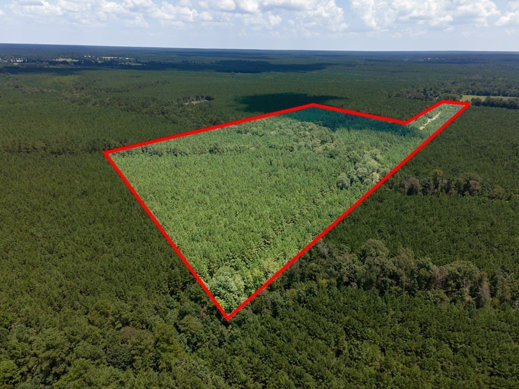 31.75 acres in Texas County - photo 18