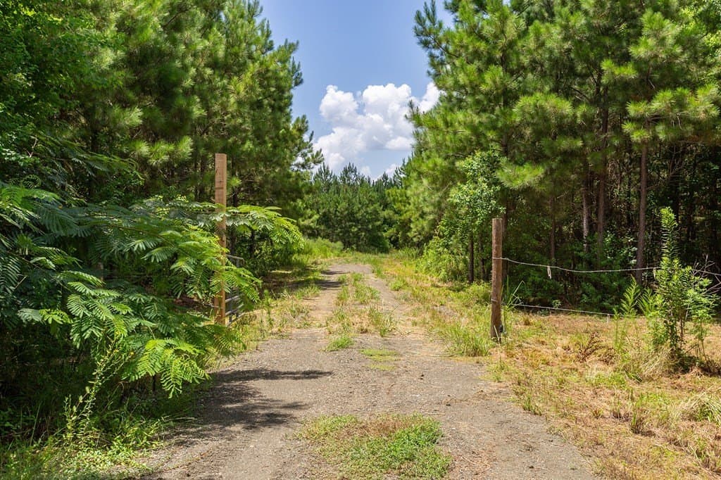 31.75 acres in Texas County - photo 13