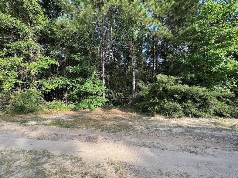 3.29 acres in Texas County - photo 2