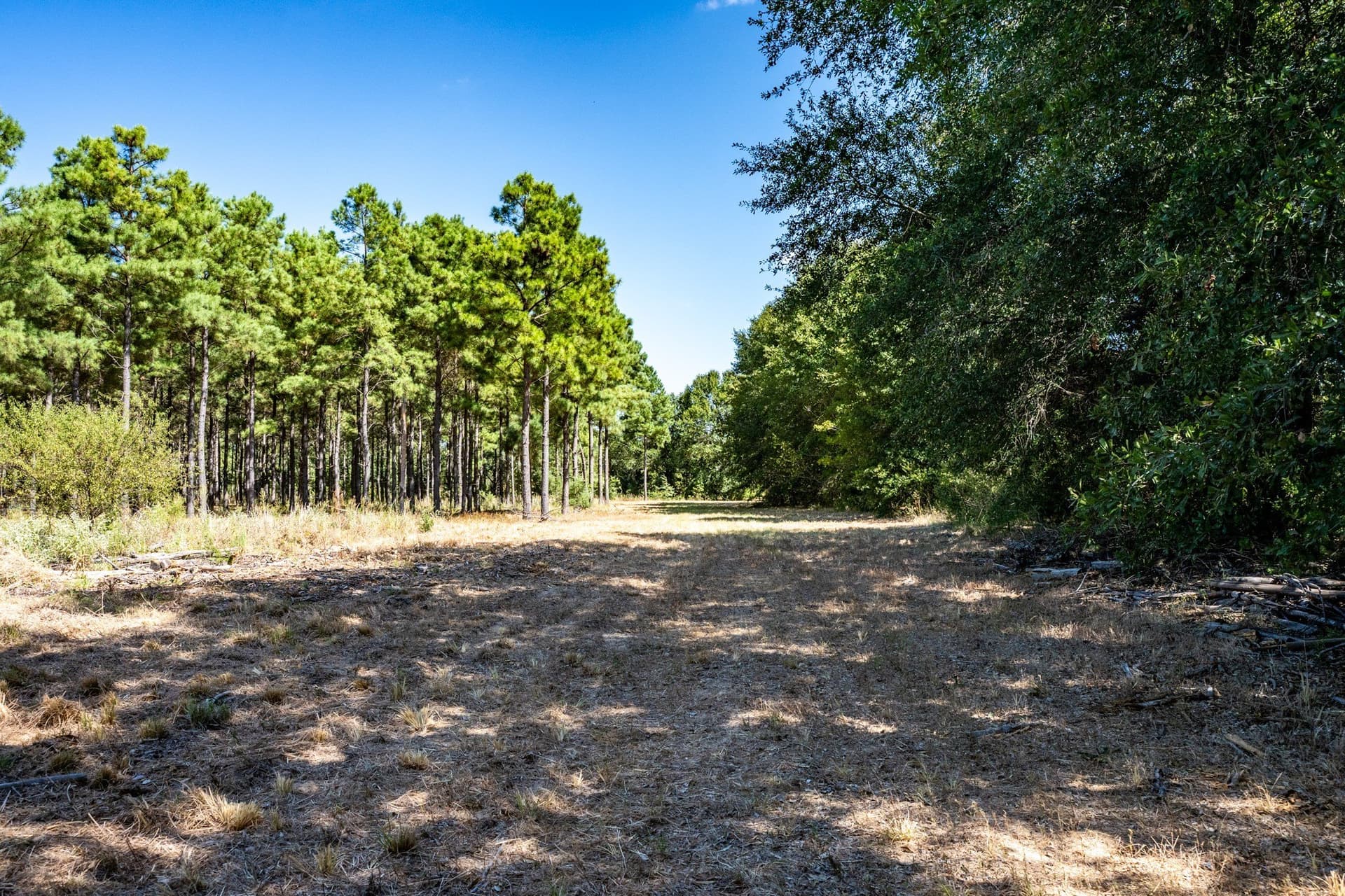 178 acres in Lamar County - photo 32