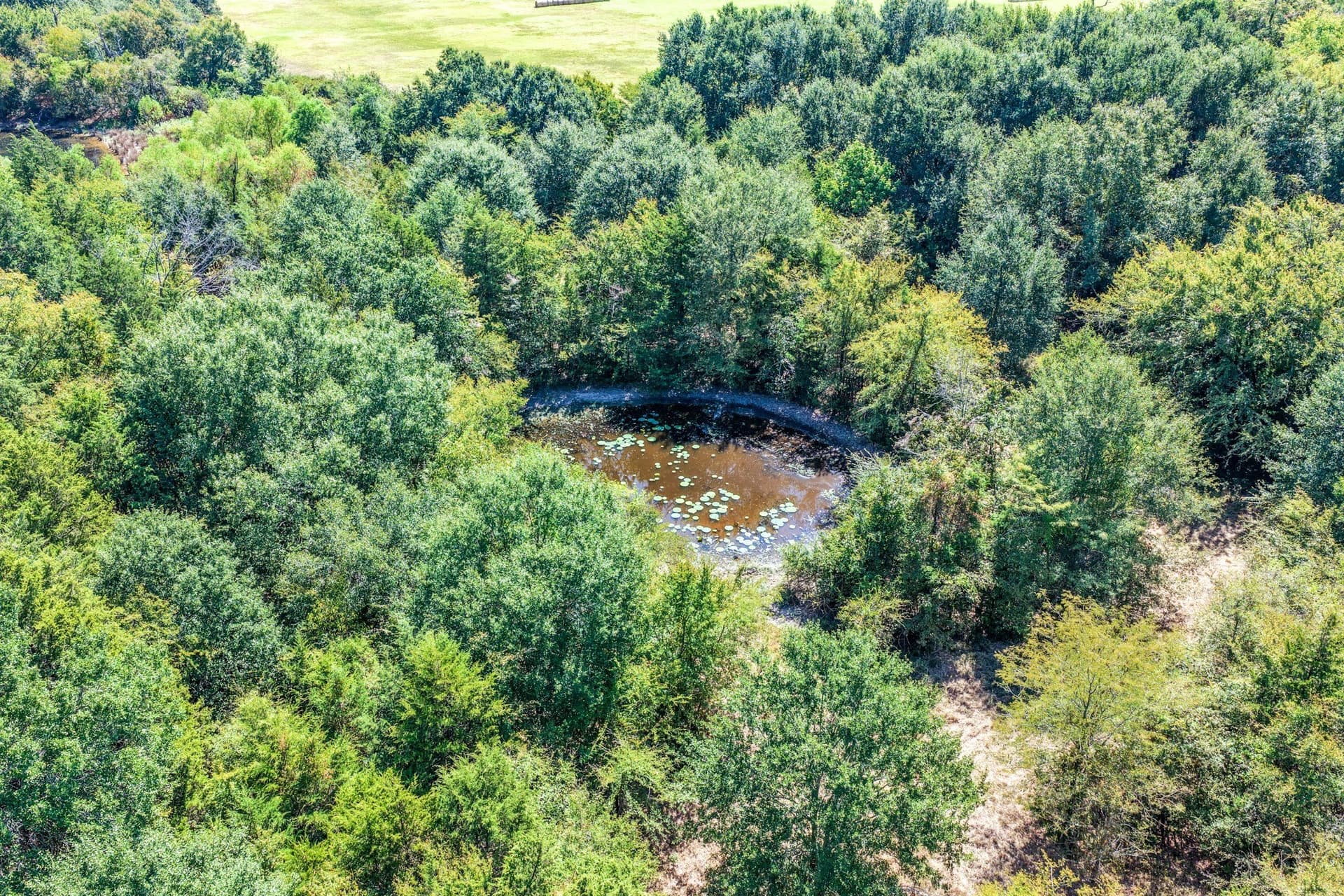 178 acres in Lamar County - photo 10