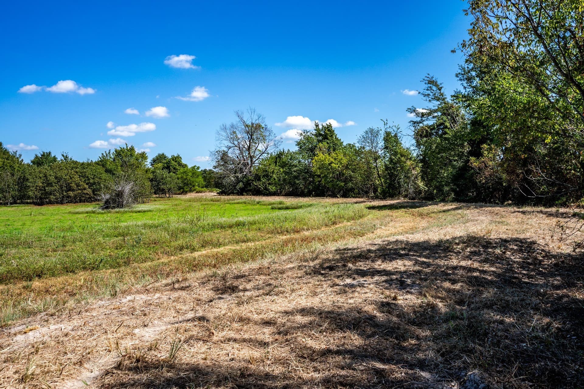 178 acres in Lamar County - photo 37