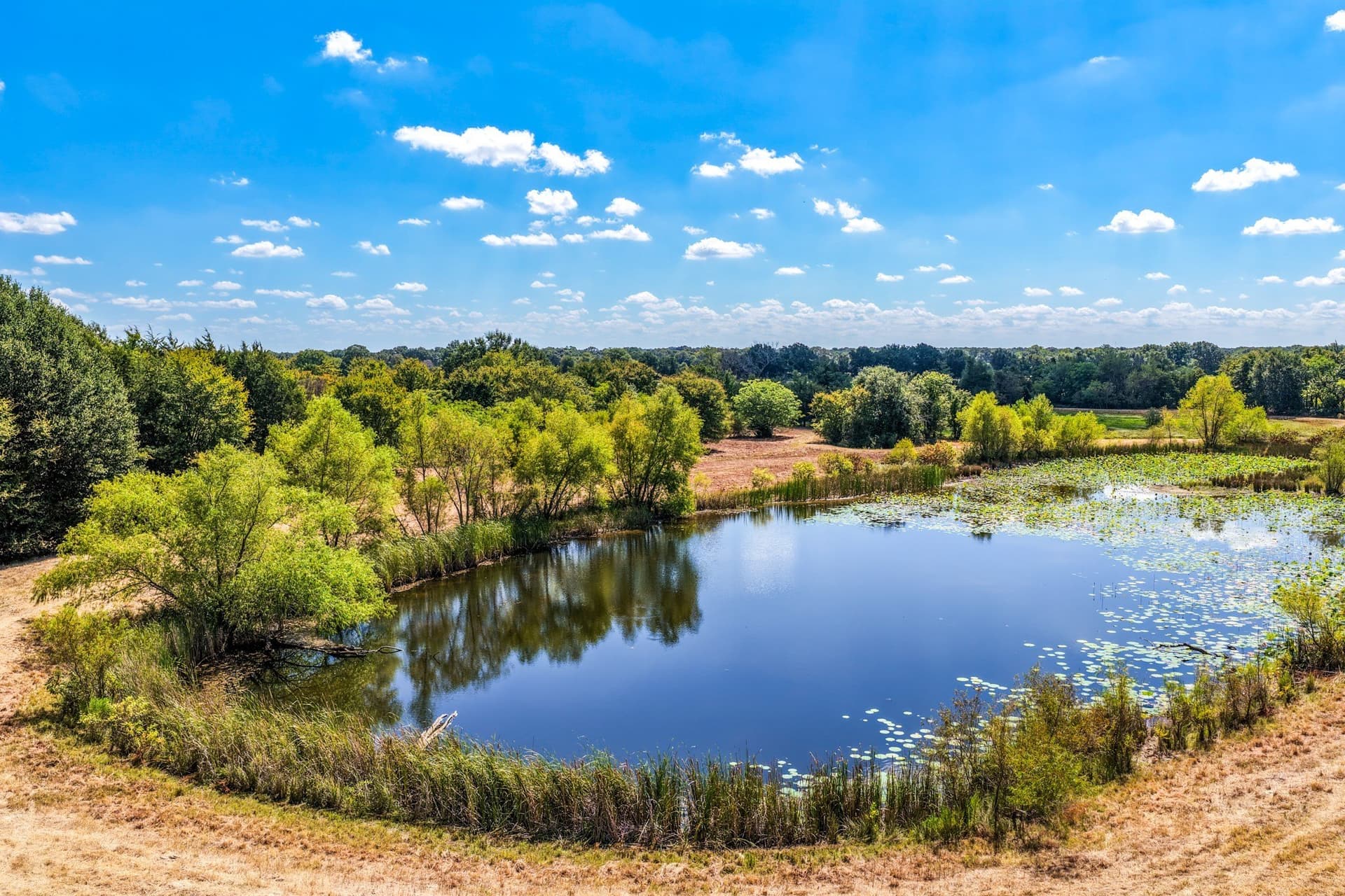 178 acres in Lamar County - photo 14