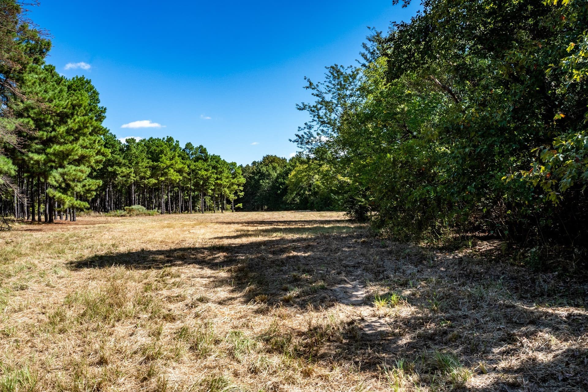 178 acres in Lamar County - photo 22